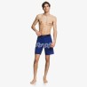 Boardshort Highline Mr Tokolo Connected Waves 19  Quiksilver